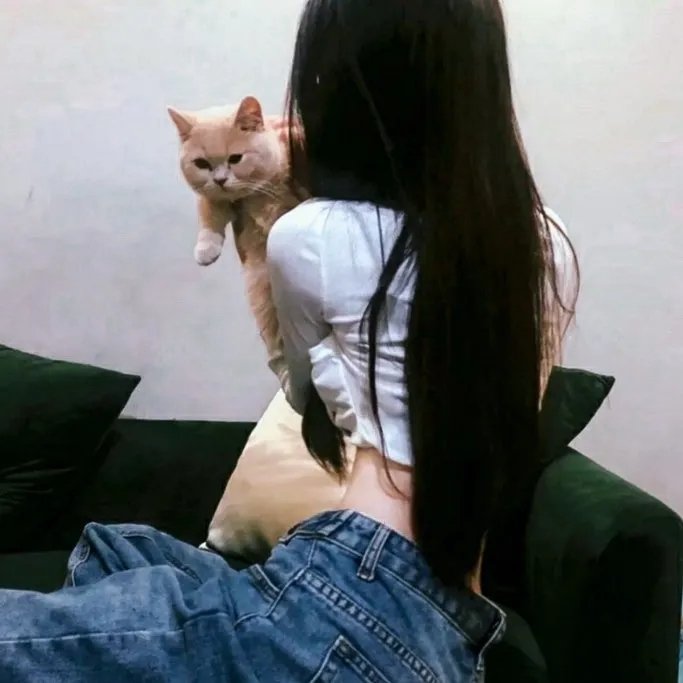 凯尔经的秘密
