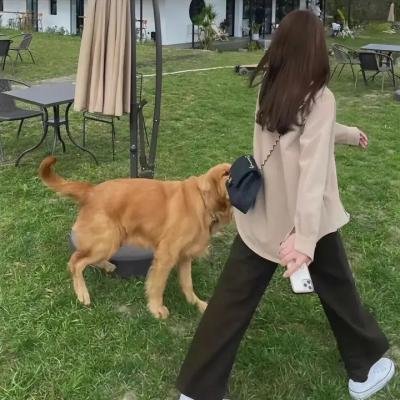 法兰西特派周报